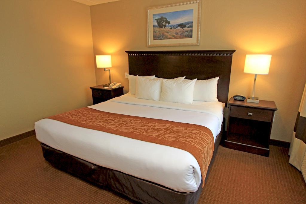 Comfort Suites Austin Airport Eksteriør billede
